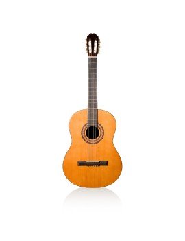 Guitare Classique EC3900 - Guitarparty avec sa housse + 1 stand de guitare