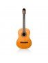 Guitare Classique EC3900 - Guitarparty avec sa housse + 1 stand de guitare