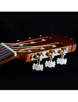 Guitare Classique EC3900 - Guitarparty avec sa housse + 1 stand de guitare