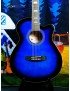 Guitare electro acoustique - Smiger