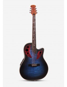 Guitare Acoustique...