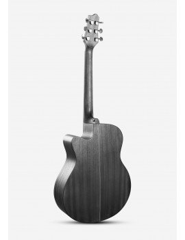Guitare Acoustique 41...