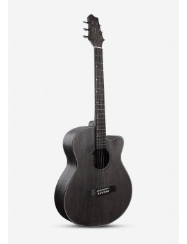 Guitare Acoustique 41...