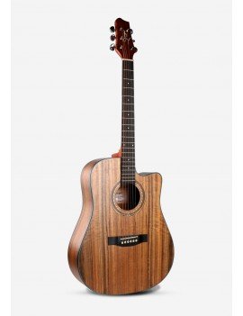 Guitare Acoustique 41...