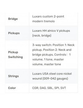 Guitare Électrique Professionnelle S-G37-PRO-DAG