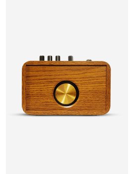 10W Portable Amplificateur BT (Bluetooth) AmpCore Gen I