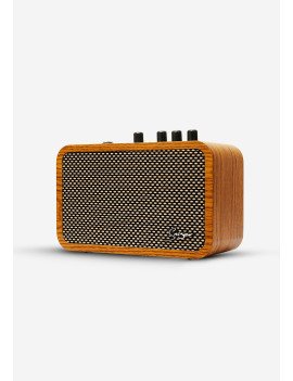 10W Portable Amplificateur BT (Bluetooth) AmpCore Gen I