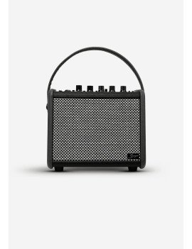 Amplificateur Portable QG-15-YE