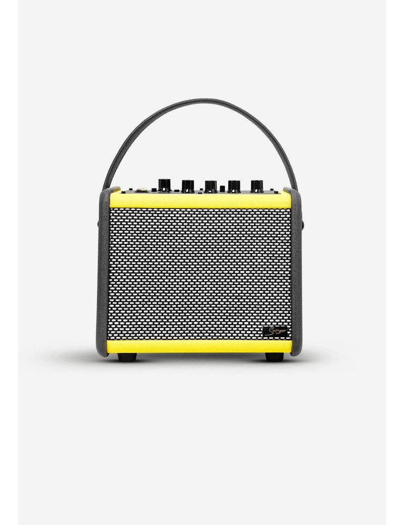 Amplificateur Portable QG-15-YE