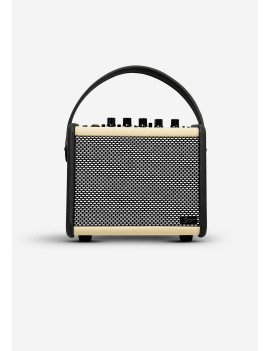 Amplificateur Portable QG-15-YE