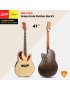 Smiger Guitare électro-acoustique SM-4160 → Couleur naturel verni de 41 pouces