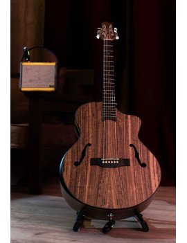 Guitare électro-Acoustique...