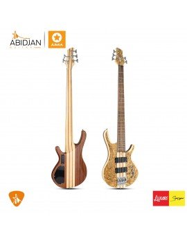 Guitare Basse 5 cordes...