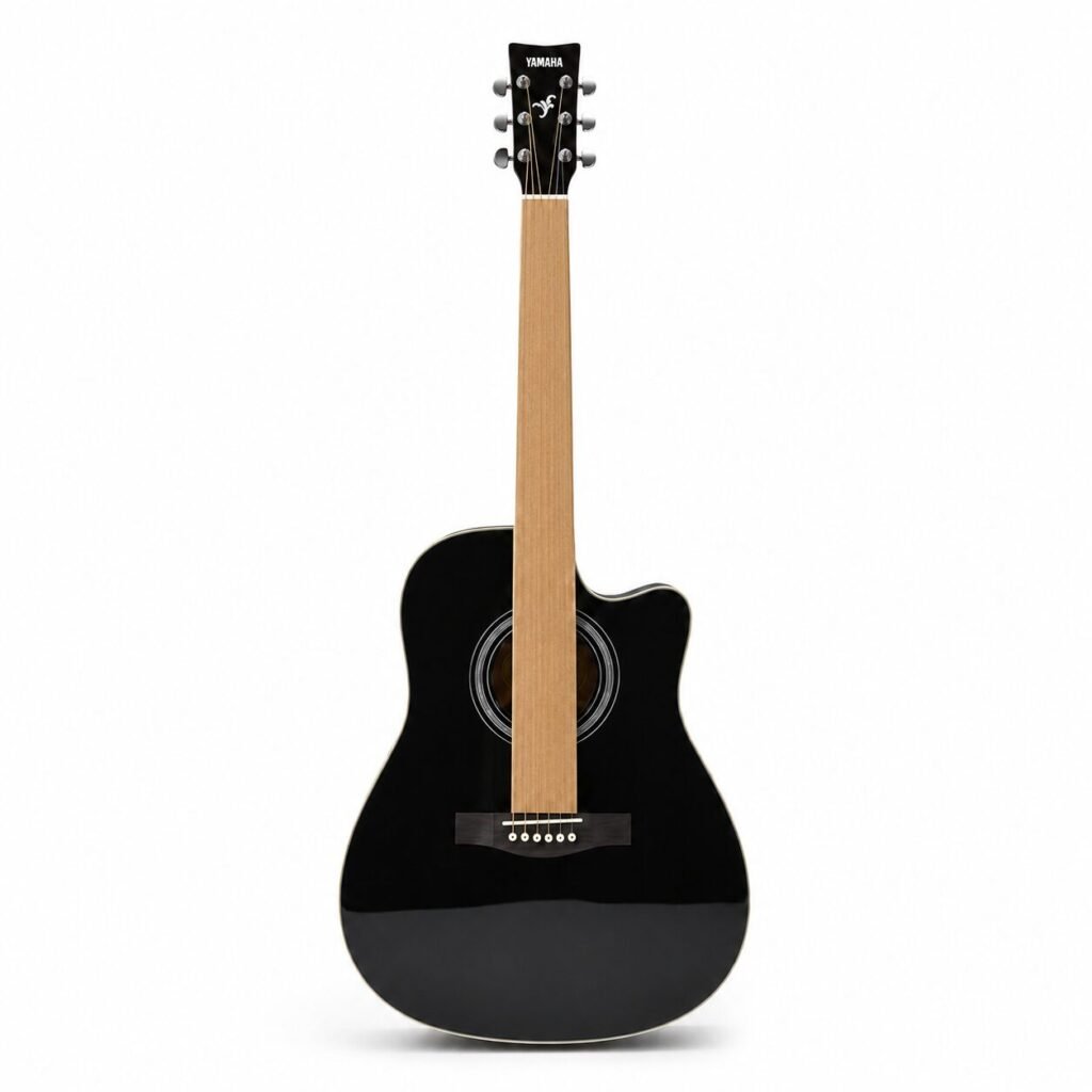 Guitare Acoustique — F3000 avec Housse de protection offerte