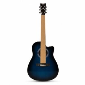 Guitare acoustique F3000 + Housse de guitare offerte - Couleur bleu