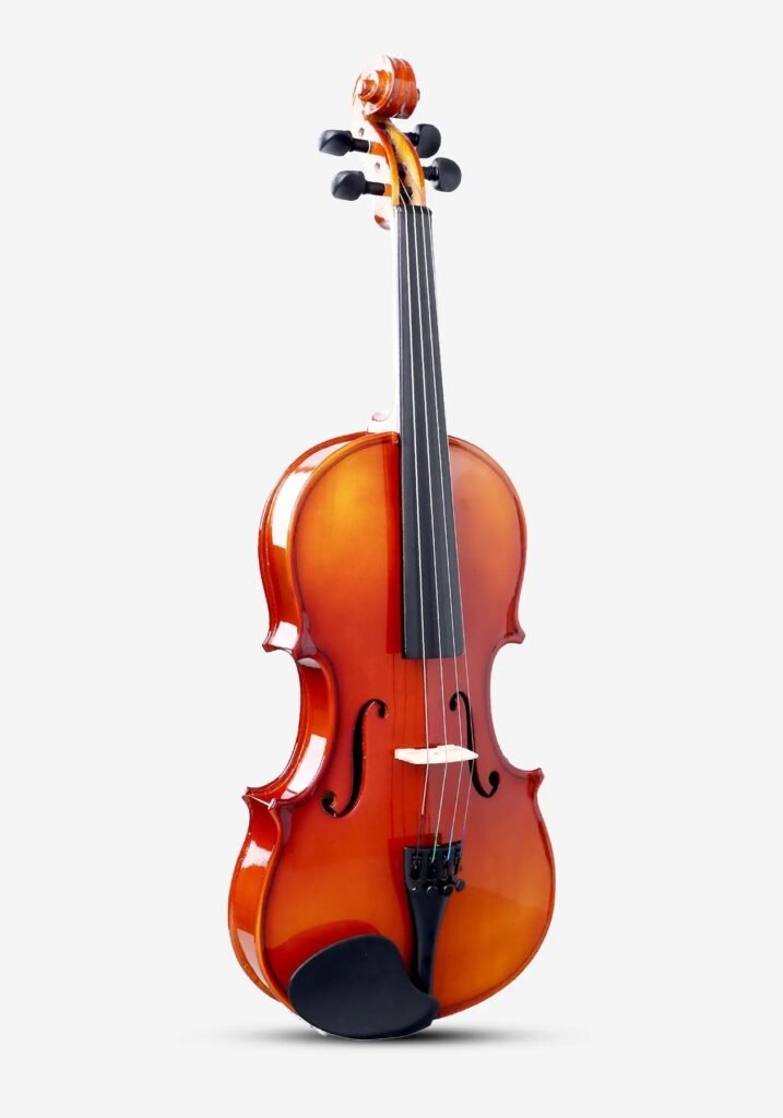 Smiger Violon taille 4/4 V-85S