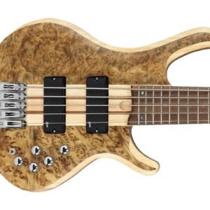 Luxars Basse 5 cordes — Haut de gamme