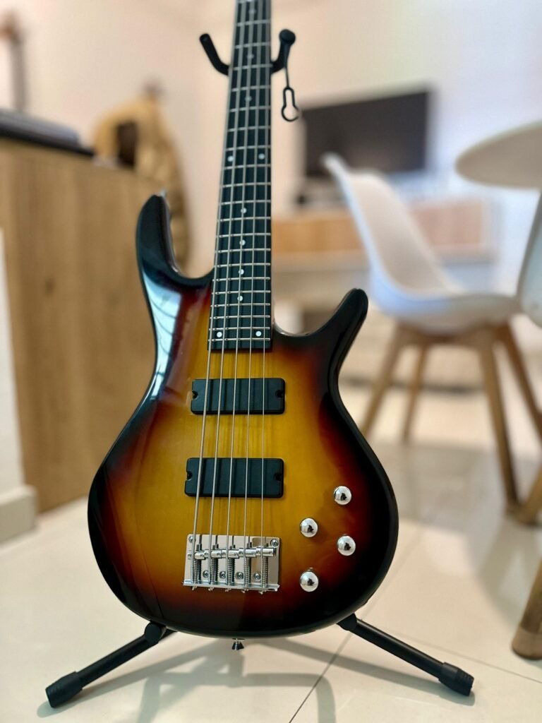 Basse 5 cordes — Smiger G-B3-5 couleur couché de soleil 🌞