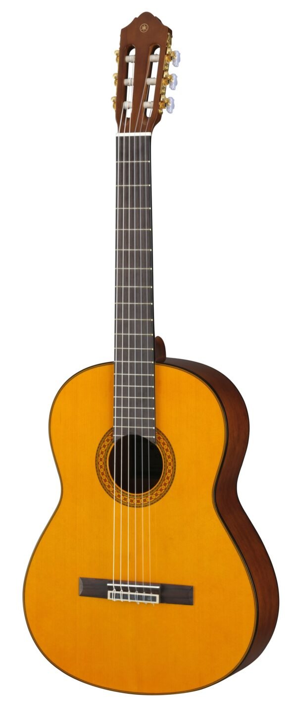 Comment choisir sa première guitare à Abidjan