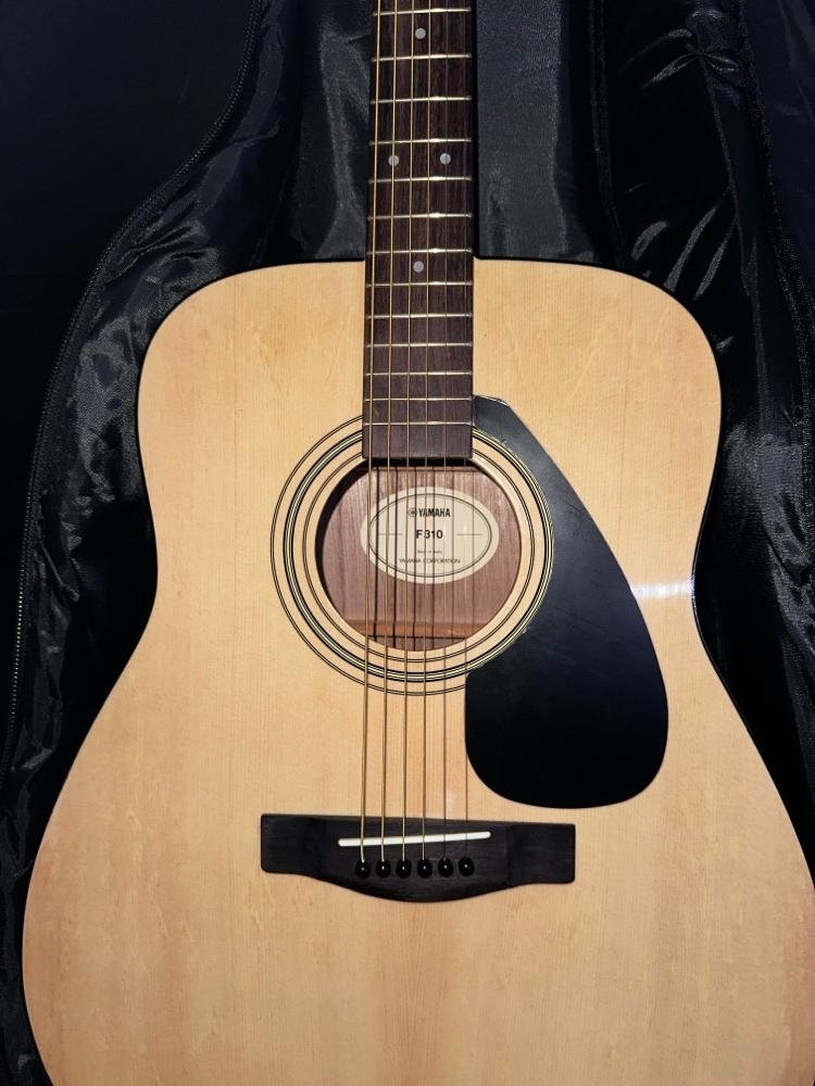 Yamaha F310