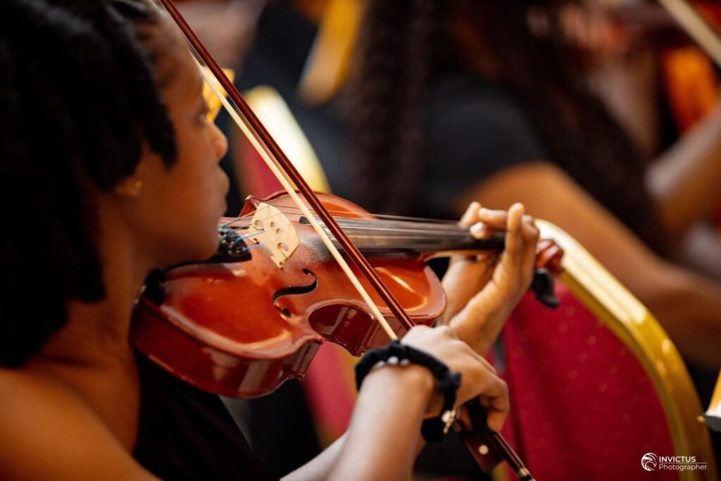 Découvrez nos violons.